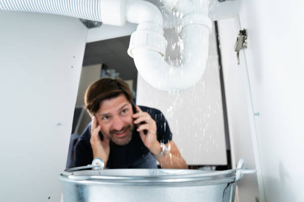 Best Plumbing Repair Near Me  in Camden, TN